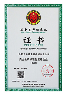 久久久麻豆视频